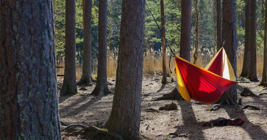 How to Hang a Hammock