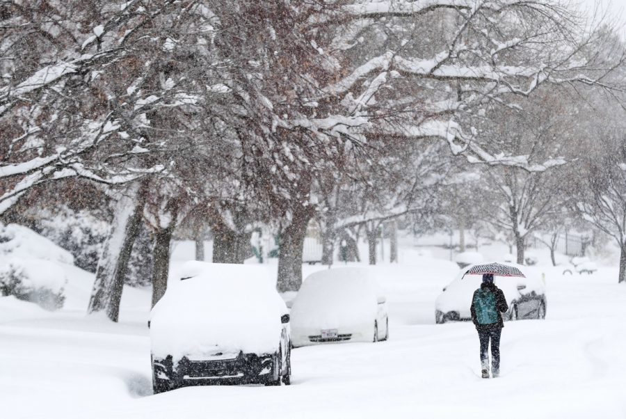 5 Reasons Snow Days are a Must
