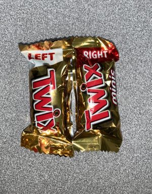 The Difference Between Left And Right Twix Terrier Times