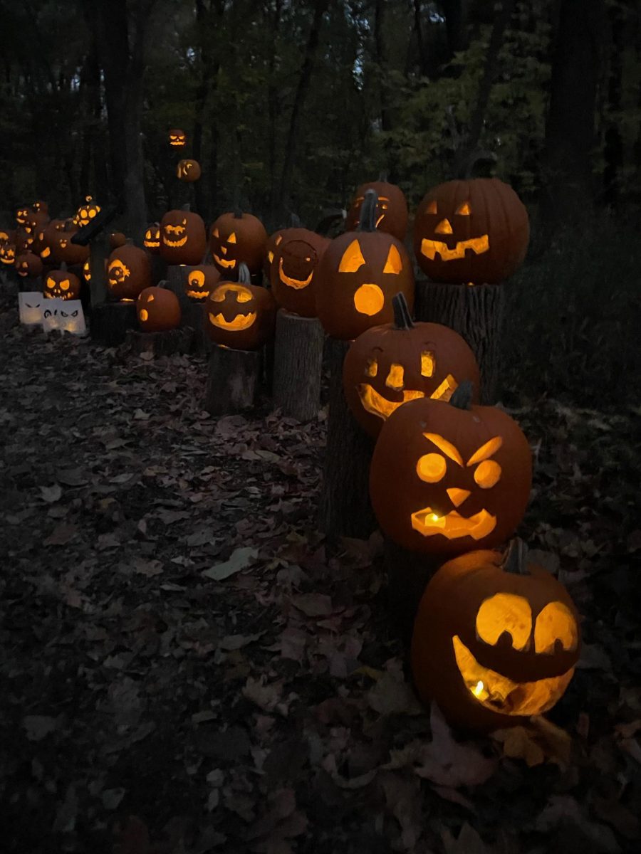 Pumpkins glowing