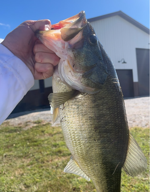 5lb bass caught by Brayden Wanke