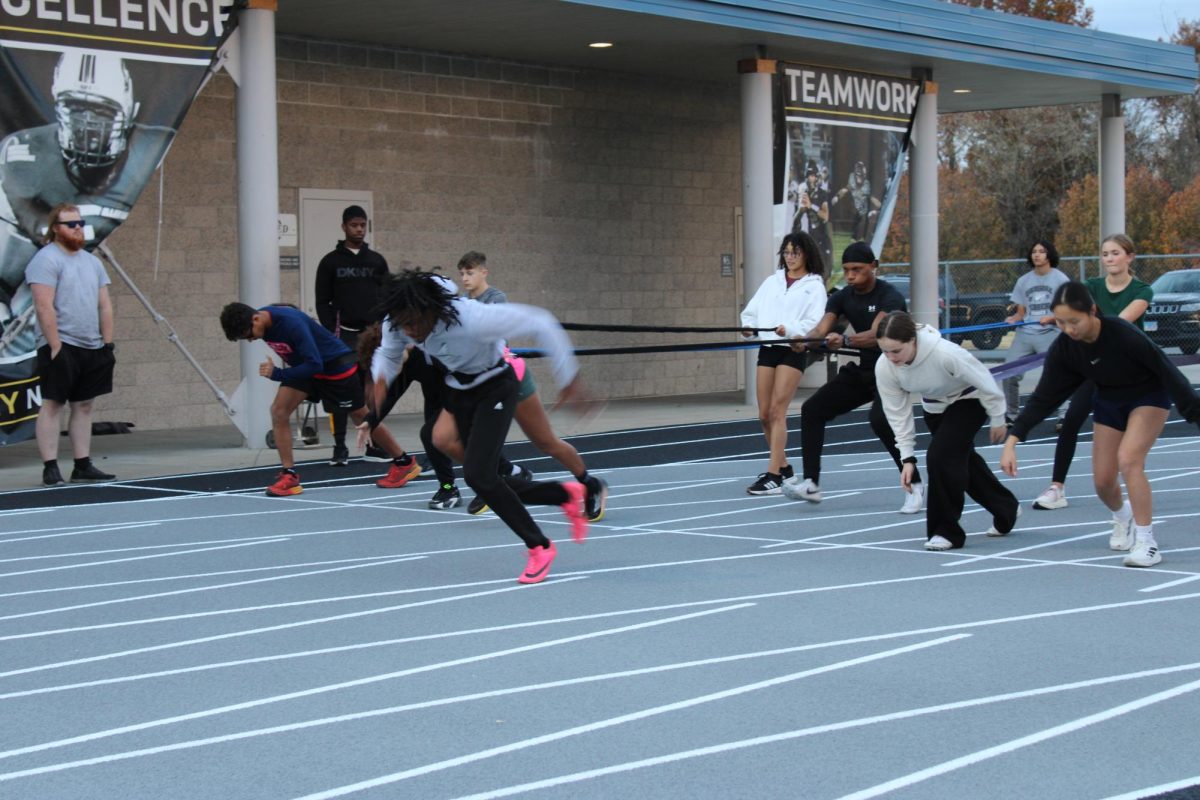 track workouts 2025 November 17 harness runs to work explosiveness and start 