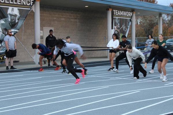 track workouts 2025 November 17 harness runs to work explosiveness and start 
